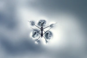 abstract aeroplane aircraft airplane animal beach