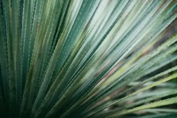 abstract background beautiful color design detail