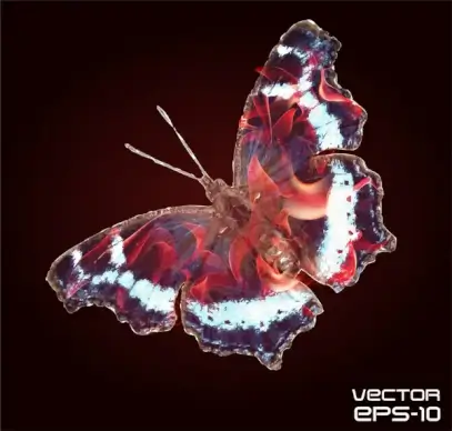 abstract butterfly