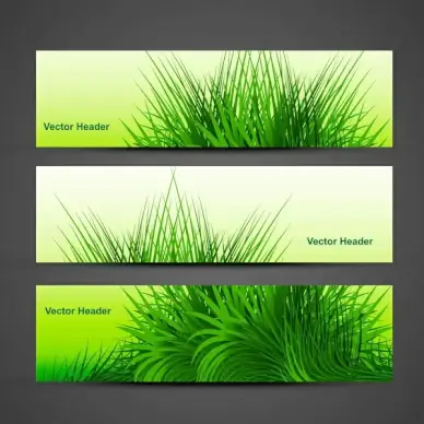 abstract green grass with reflection header vector design