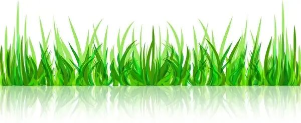 abstract green grass with reflection vector