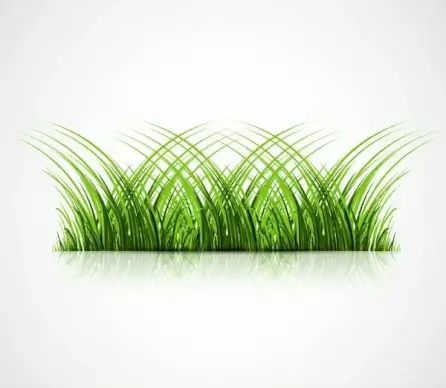 abstract green grass with reflection vector illustration