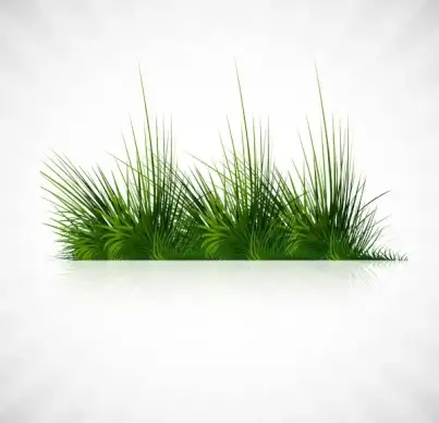 abstract green grass with reflection vector whit background illustration