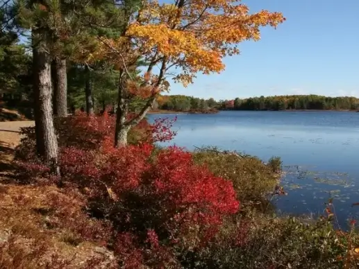 acadia national park maine landscape