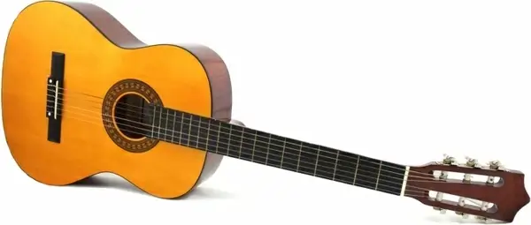 acoustic guitar