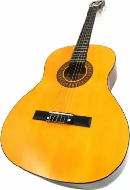 acoustic guitar