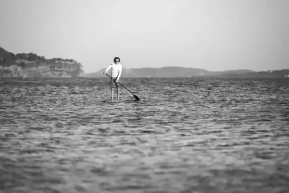 action animal beach bird black and white coast