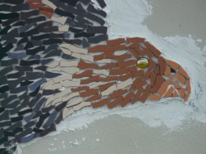 adler bird head
