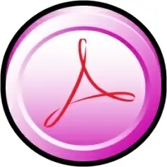 Adobe Acrobat Professional CS 2