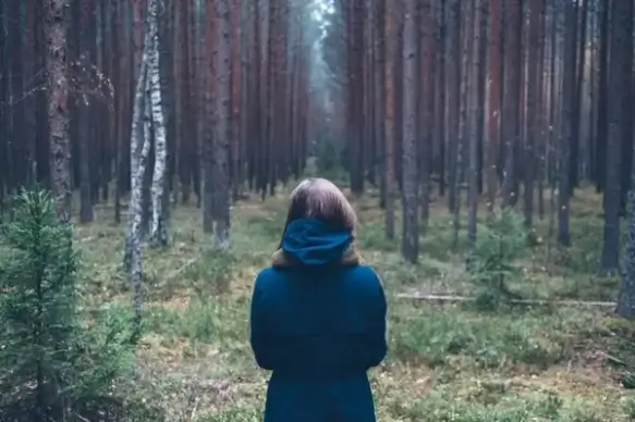 adult autumn child childhood daytime fall forest