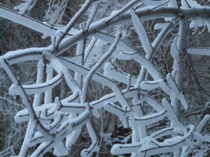 aesthetic iced ice
