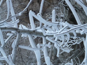 aesthetic iced ice