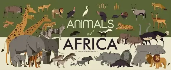 africa banner wild animals species sketch colored classic