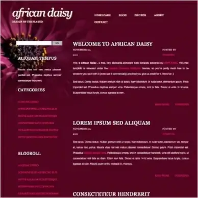 africandaisy