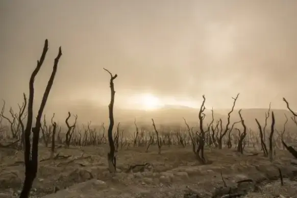 agriculture backlit desert drought dry field fog