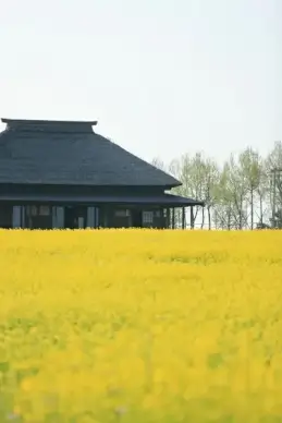 agriculture barn building countryside crop daytime