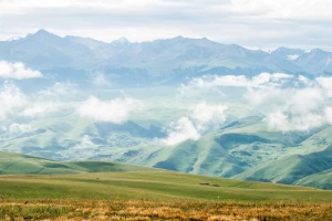 agriculture cloud country countryside field fog