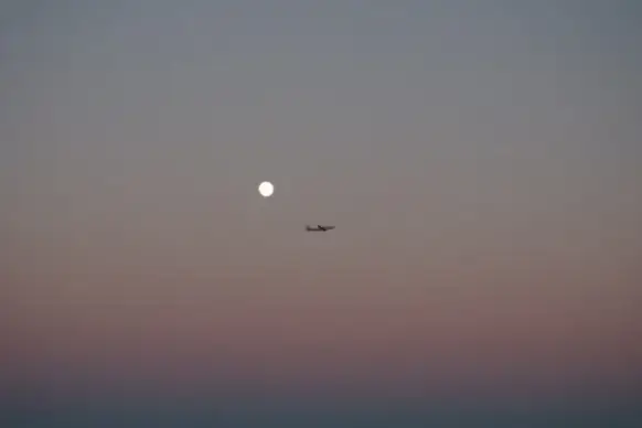 air aircraft airplane bird dusk evening flight