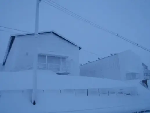 all white