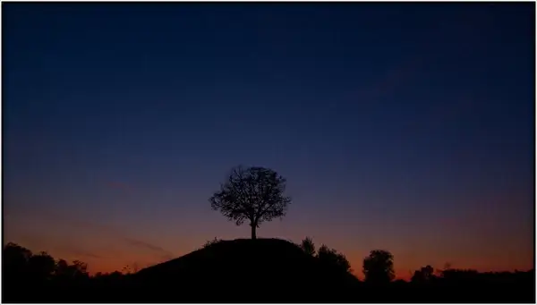 alone