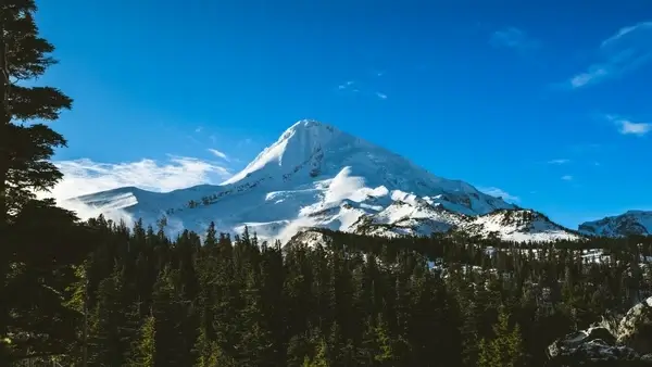 alps british columbia cold forest frozen glacier ice