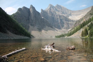 alps british columbia forest glacier hiker lake