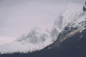 alps climbing cold fog forest frozen glacier