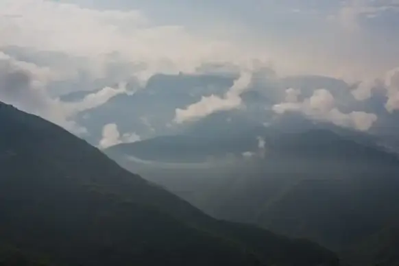 alps cloud fog forest hill landscape mist morning