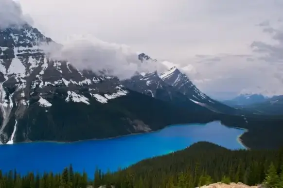 alps fjord fog forest glacier hiking lake landscape