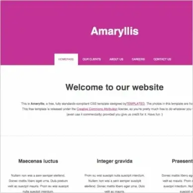 amaryllis