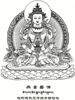 amitayus buddha line is issued