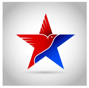 Amrical flag and eagle