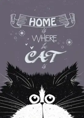 animal background black cat icon ribbon calligraphy decor