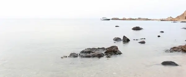 animal beach bird boat coast fog frozen ice island