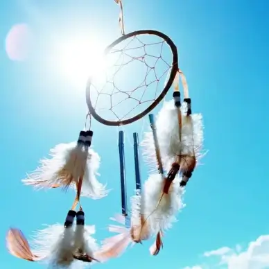 animal blue sky branch close closeup dream feather