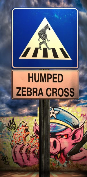 animal city