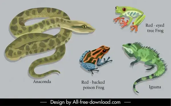 animal education design elements python frog iguana sketch