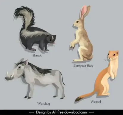 animal education design elements skunk warthog rabbit weasel sketch