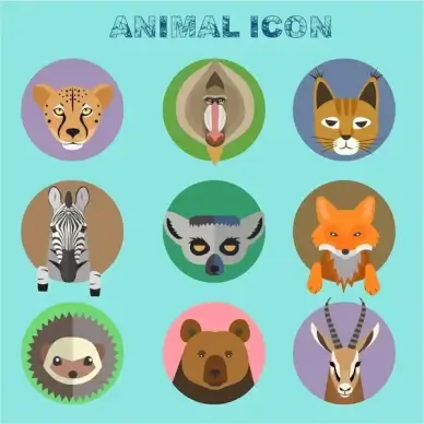 animal icons isolated with various types