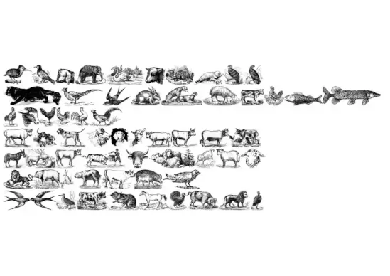 Animals Old Cuts