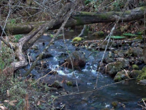 another mini waterfall at beaver creek valley state park minnesota