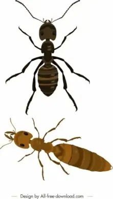 ants background colored closeup modern design