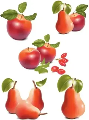 apple and pear ultrarealistic vector