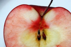apple close