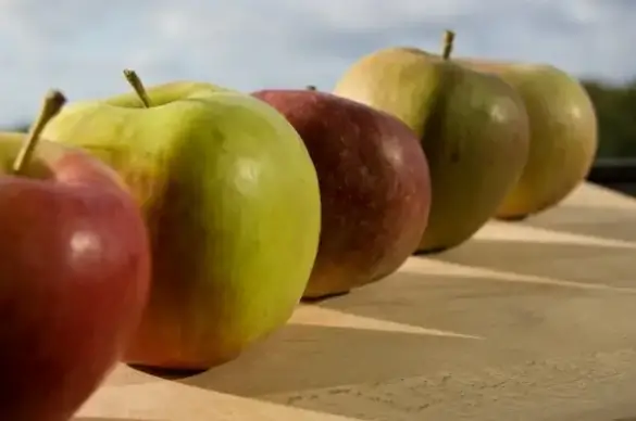 apple fruit