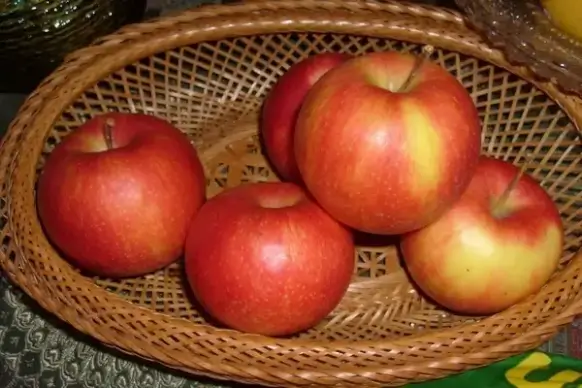 apples