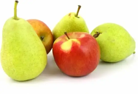 apples and pears