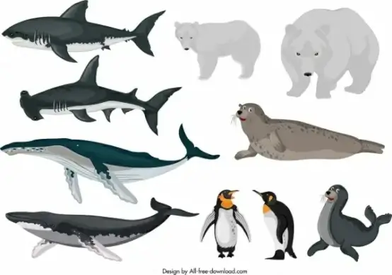 arctical animals icons fishes bears penguin seal sketch
