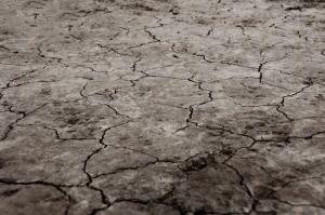 arid background climate