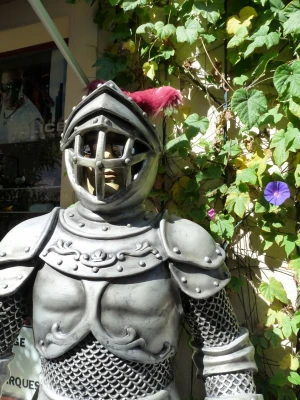 armor sunglasses facial